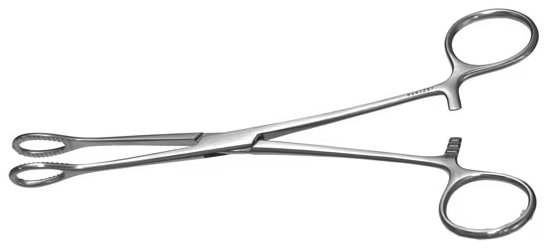 Foerster Forceps