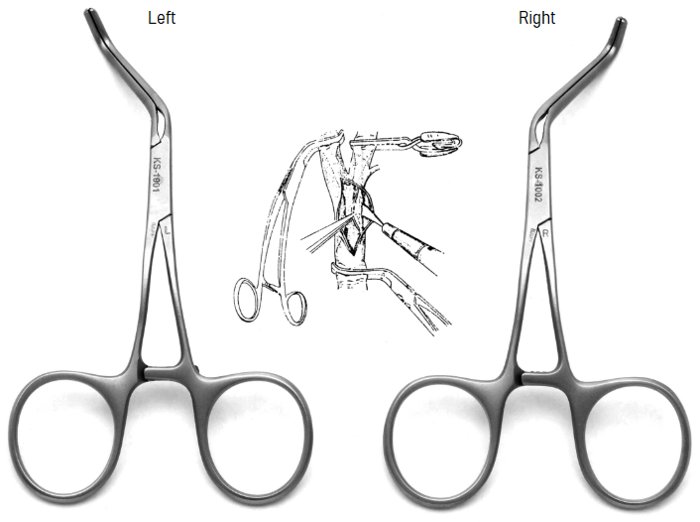 Renal Clamp