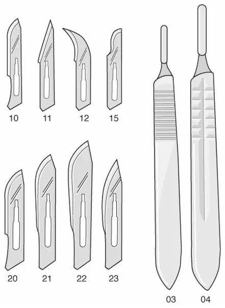 Scalpel