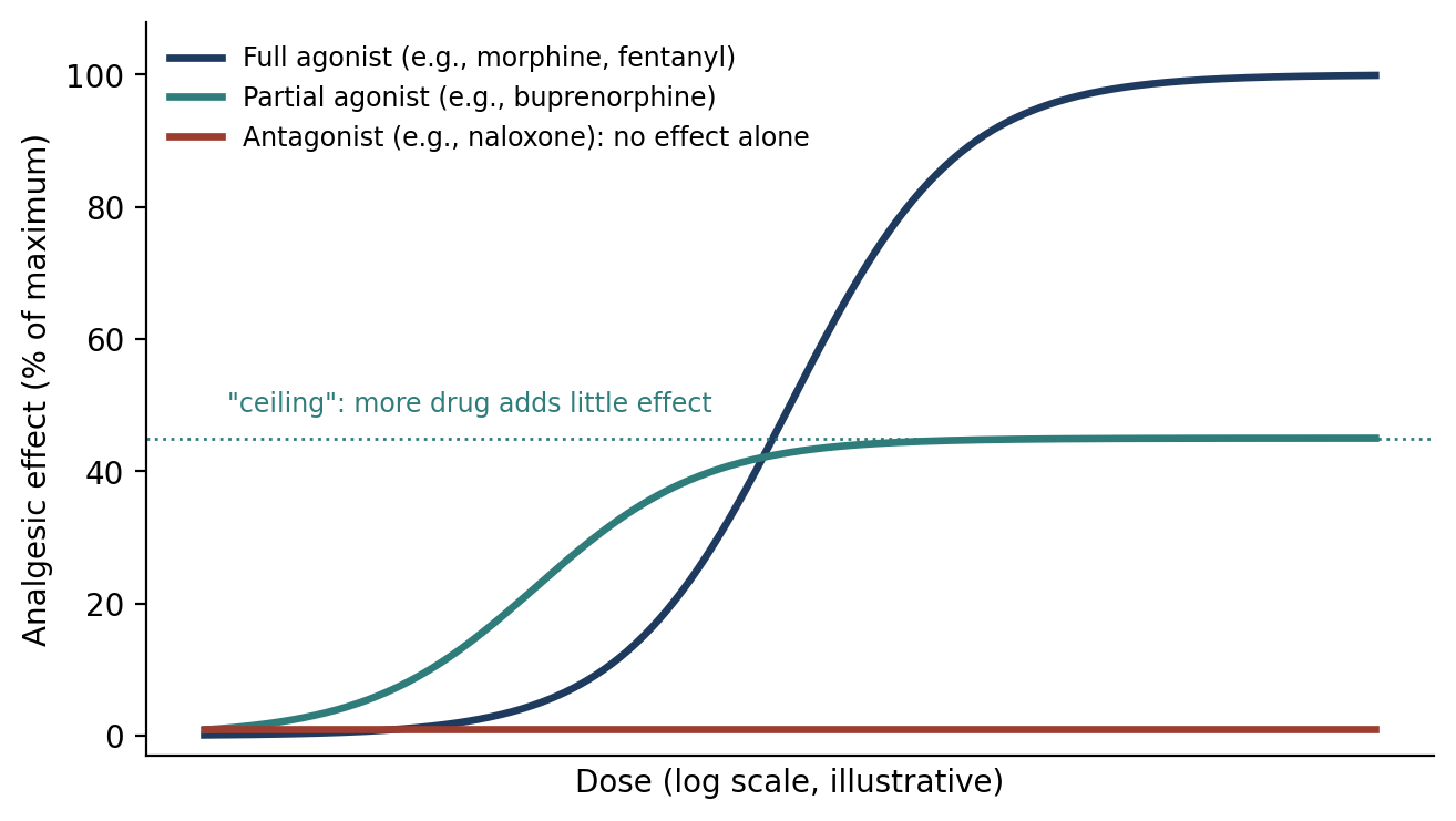 Dose–effect relationships for a full agonist, a partial agonist, and an antagonist at the mu opioid receptor (schematic).