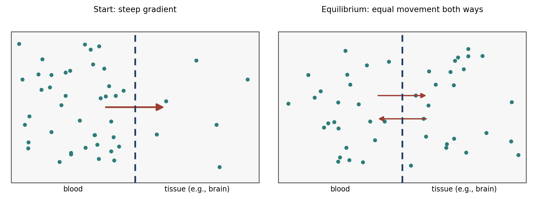 Diffusion down a partial pressure gradient. Net movement stops at equilibrium, although molecules continue to cross in both directions.
