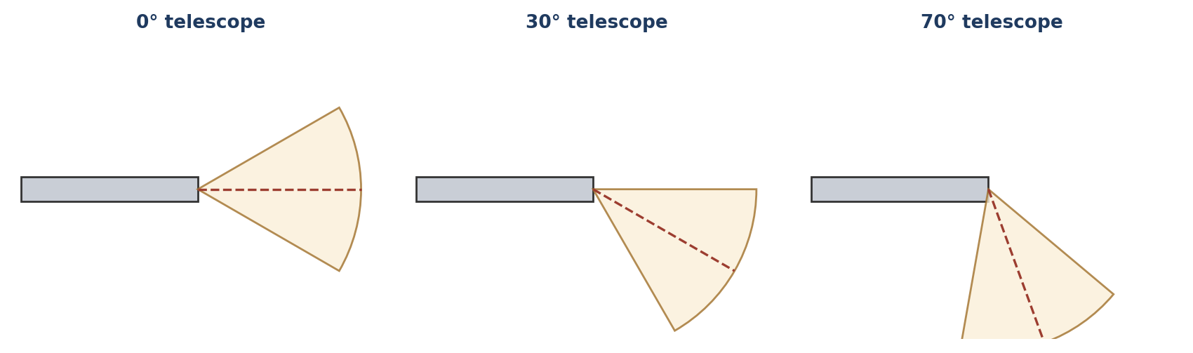 Telescope viewing angles. Angled scopes show a field offset from the shaft axis, and rotating the scope sweeps the view around.