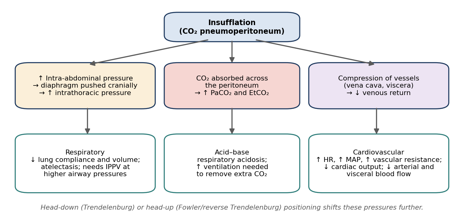 Physiological effects of CO₂ pneumoperitoneum.
