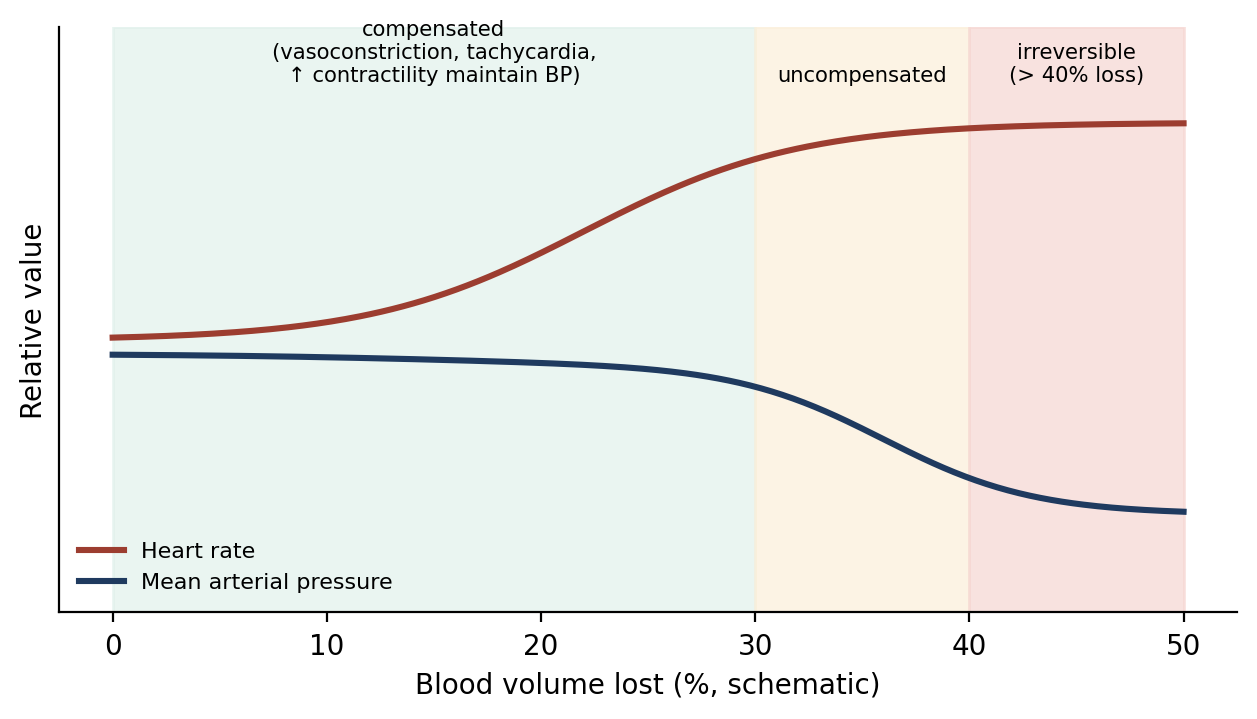 Compensated, uncompensated, and irreversible stages of hemorrhagic shock (schematic).
