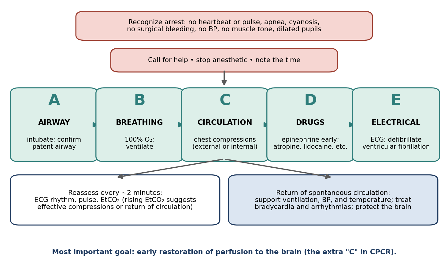 Cardiopulmonary cerebrovascular resuscitation (CPCR), following the ABCDE plan.