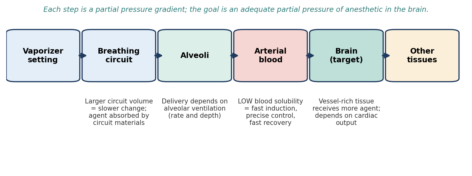 The path of an inhalant from vaporizer to brain, and the main factors that affect each step.