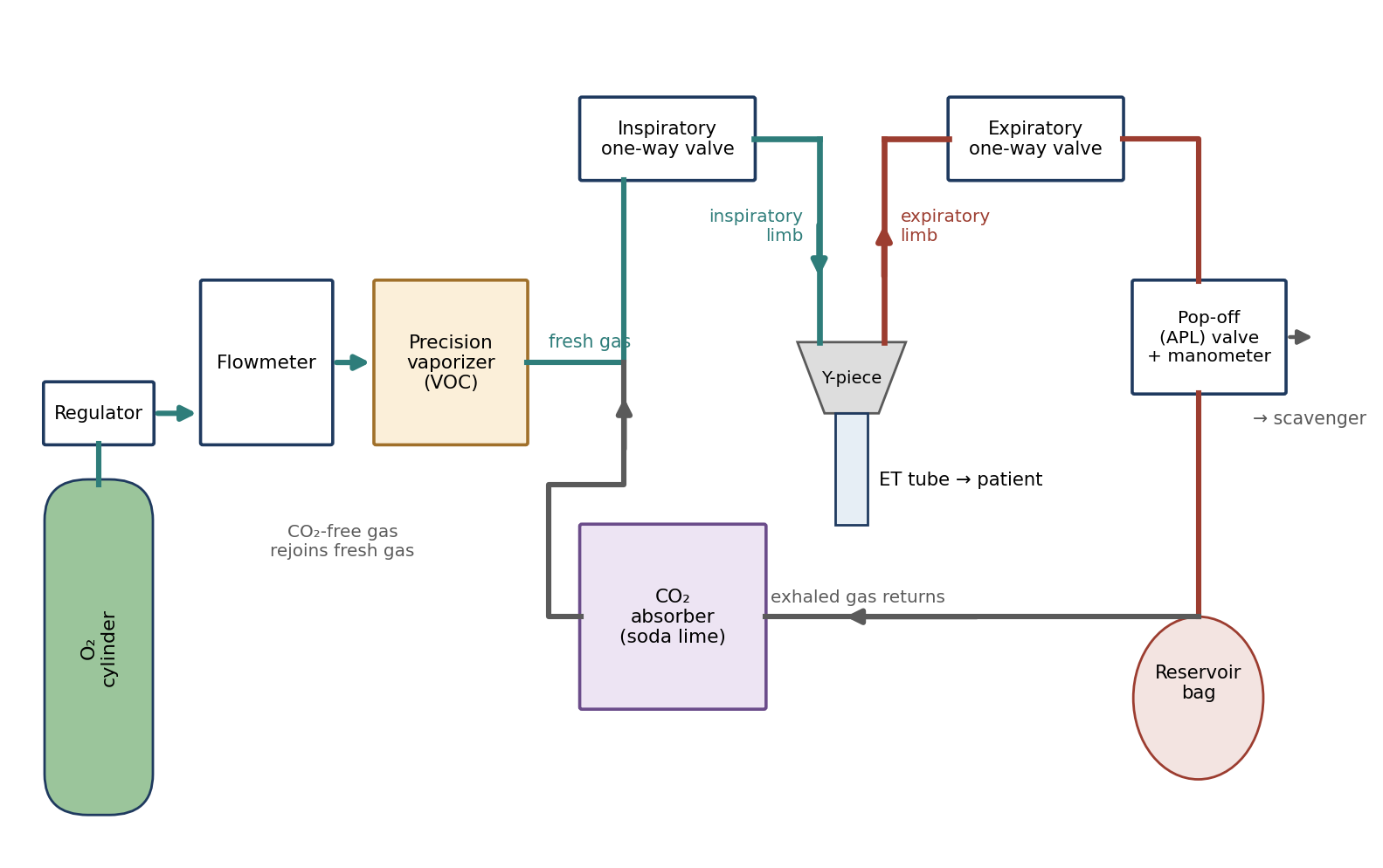 Simplified schematic of gas flow through a circle breathing system with a vaporizer out of circuit (VOC). Component positions vary between machines.