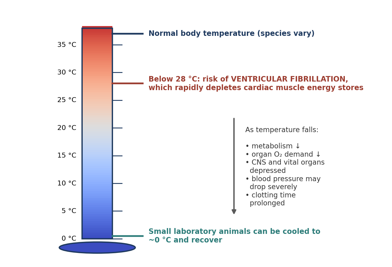 Key temperature landmarks in induced hypothermia, and the physiological effects of cooling.