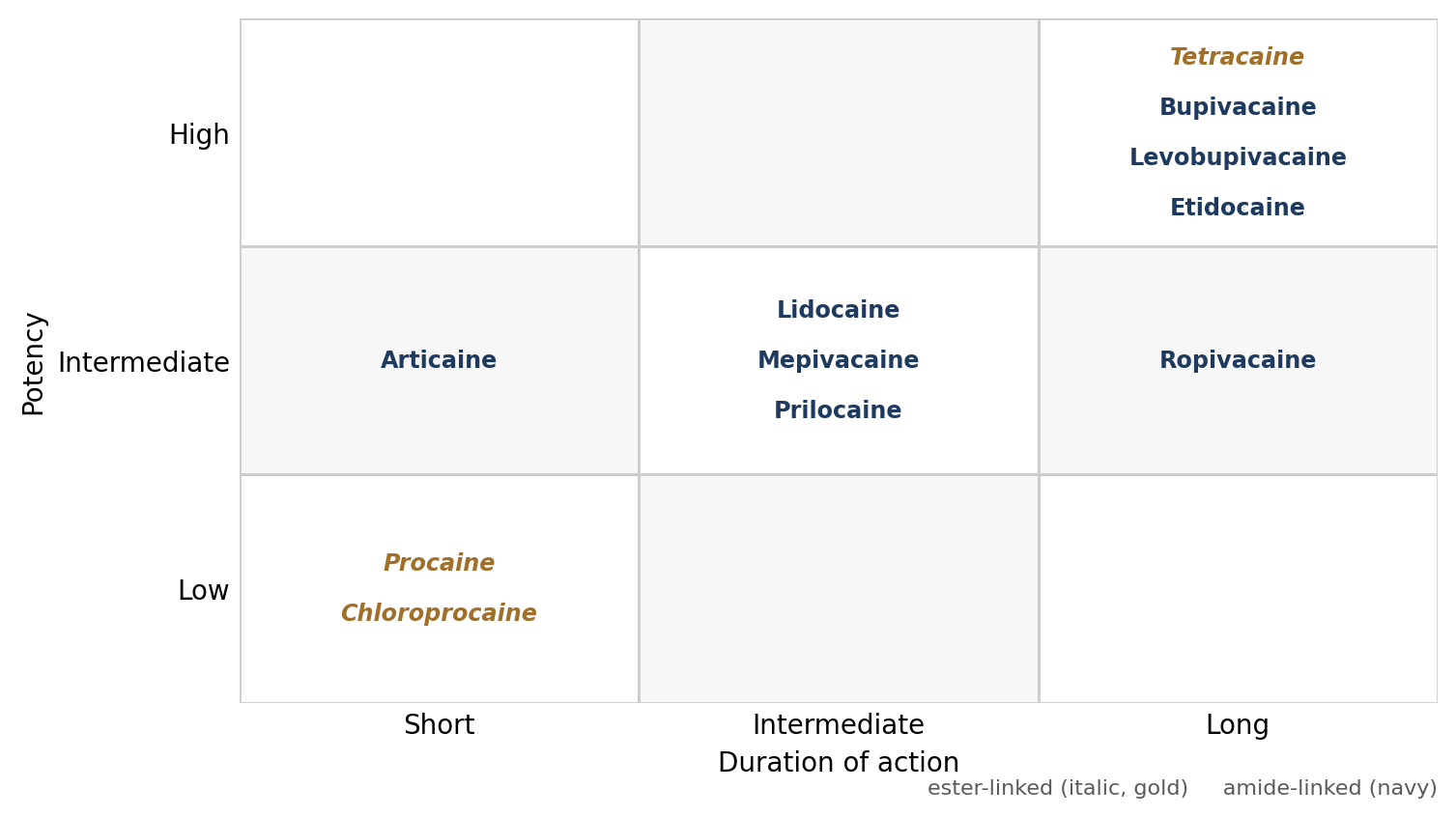 Local anesthetics arranged by potency and duration of action.
