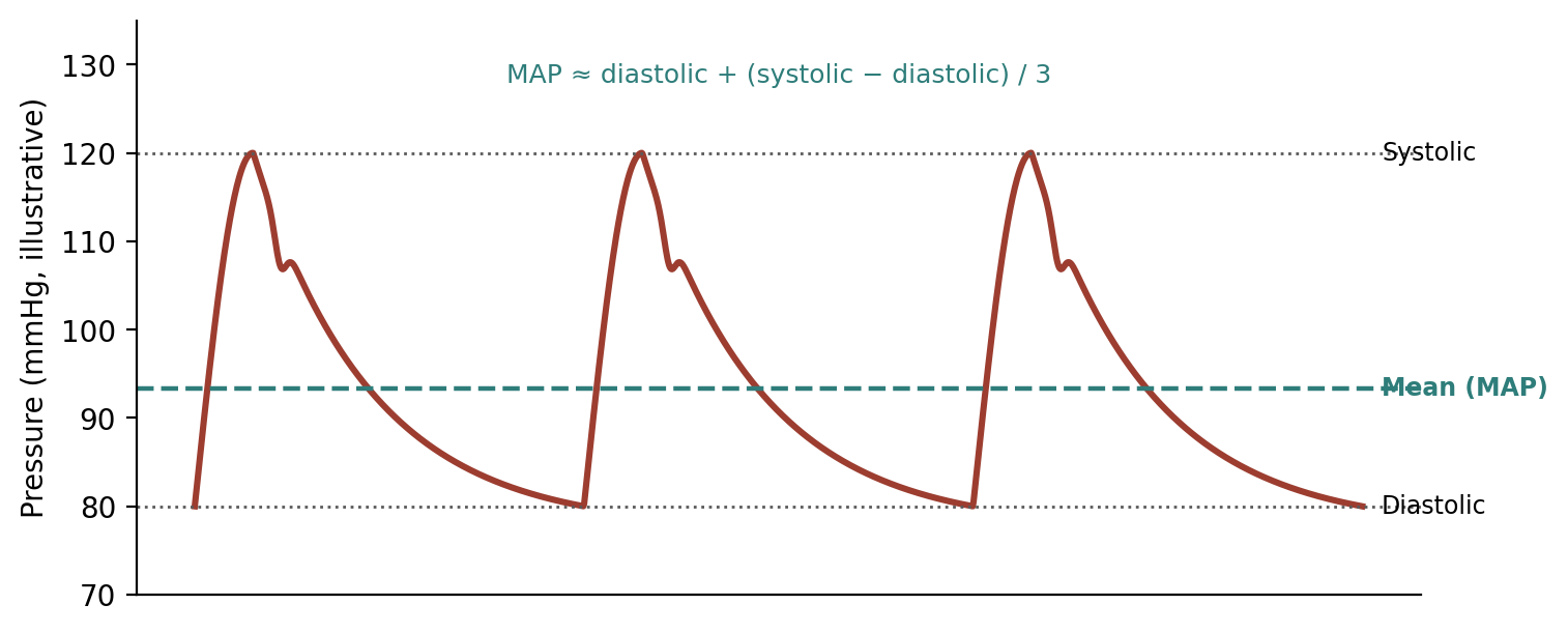 Arterial pressure waveform, showing systolic, diastolic, and mean pressure.