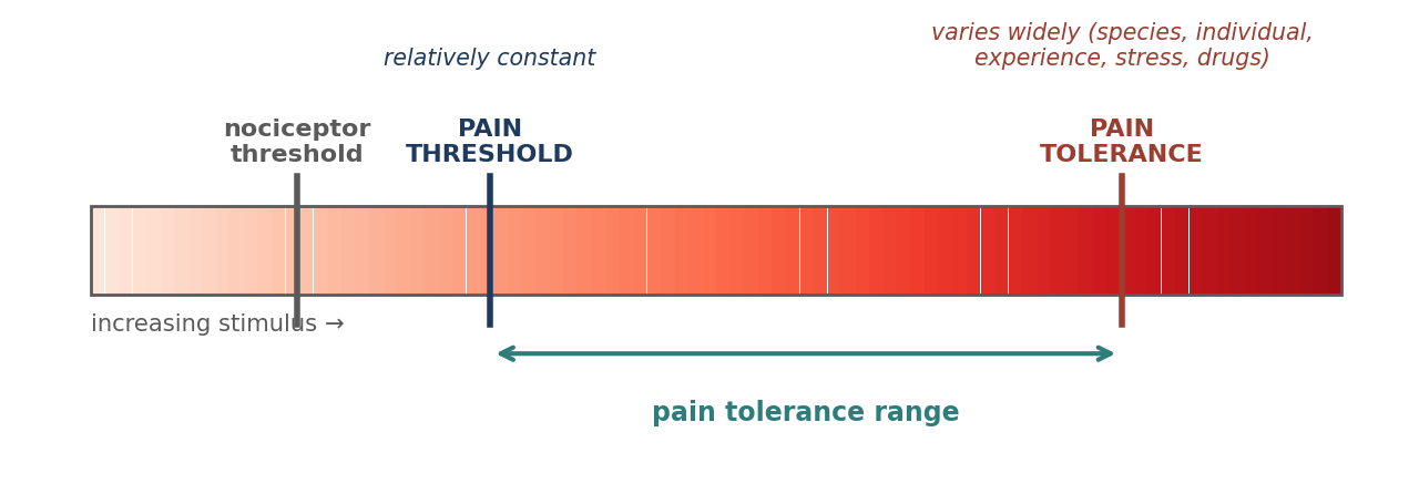Nociceptor threshold, pain threshold, and pain tolerance.