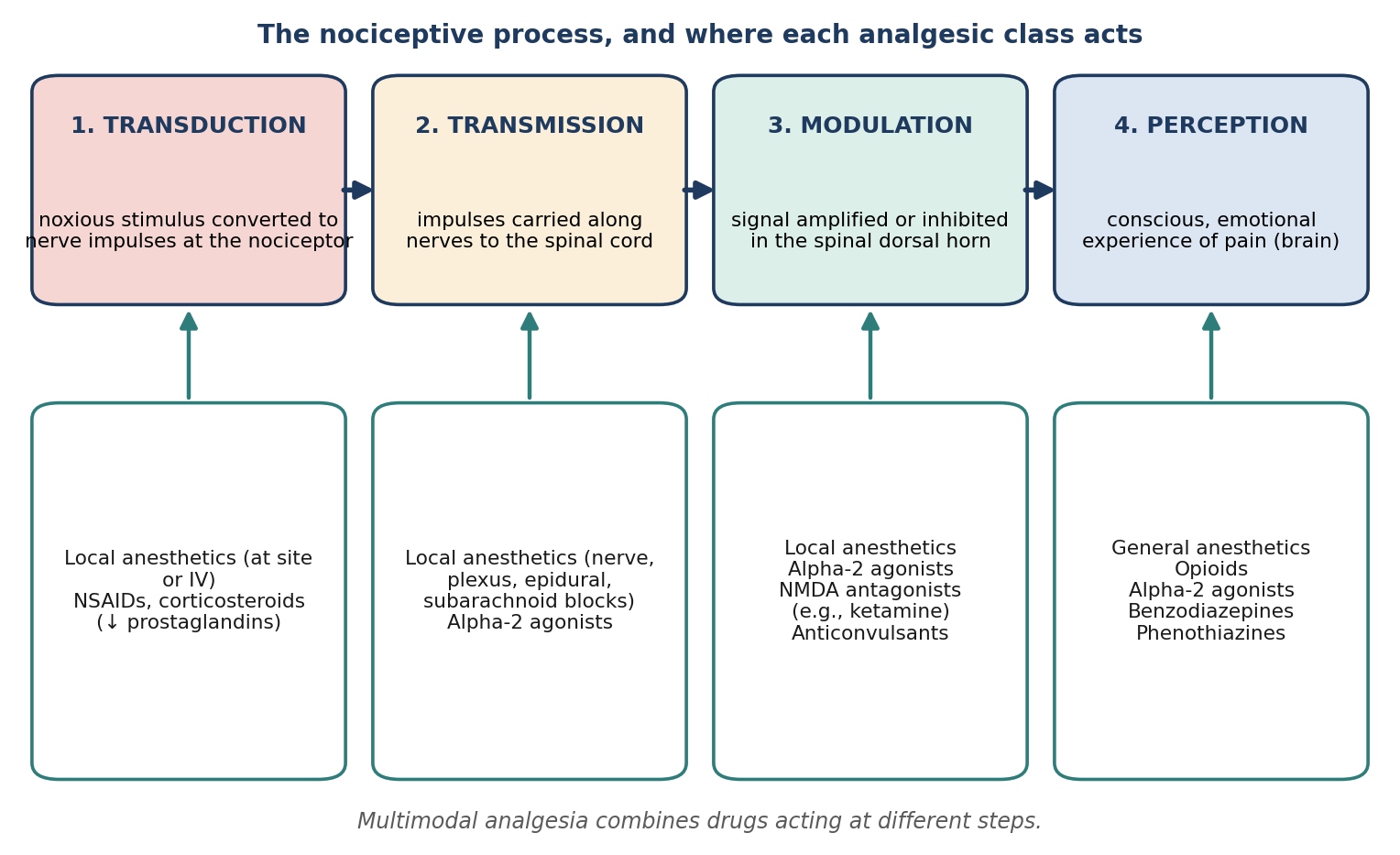 The four steps of nociception and the analgesic classes that act at each.