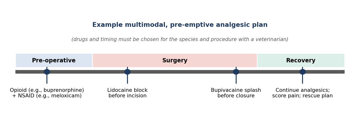 An example of a pre-emptive, multimodal analgesic plan.
