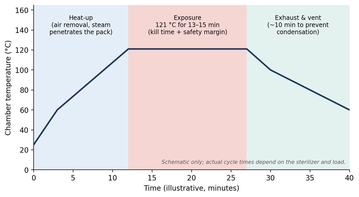 The phases of a steam autoclave cycle: heat-up, exposure at sterilizing temperature, and exhaust/venting.