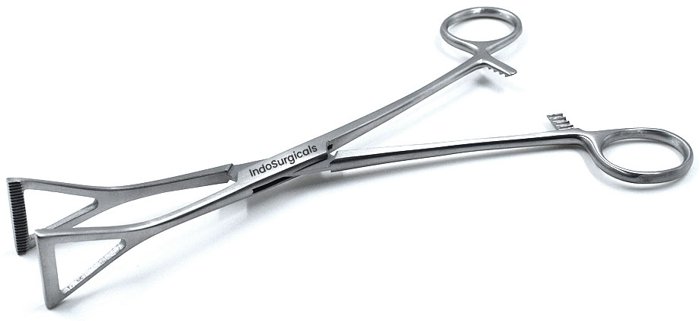 Duval Lung Forceps